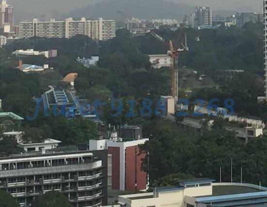 Blk 38 Jalan Rumah Tinggi (Bukit Merah), HDB 4 Rooms #89378362
